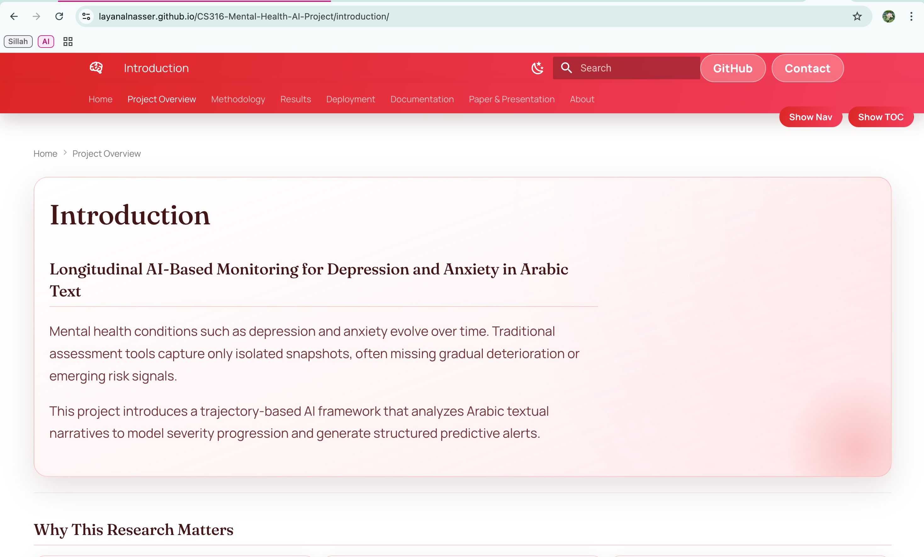 CS316 project page with navigation hidden